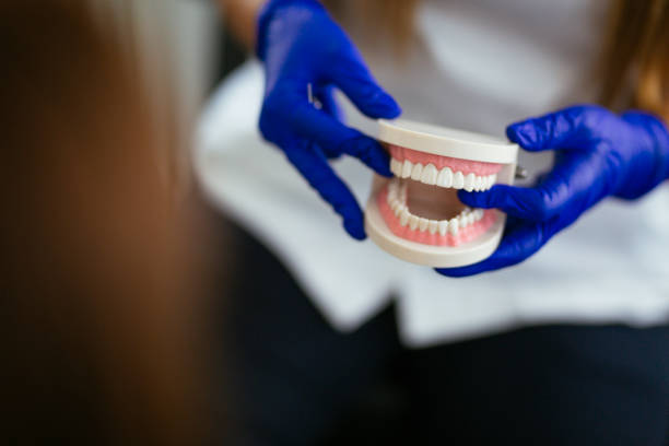 Trusted Collinwood, TN Holistic Dental Care Services Experts
